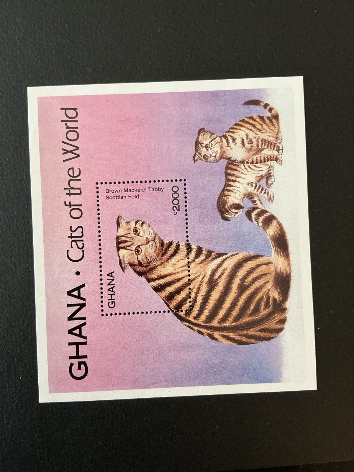 Ghana postzegels - Cats of the World (2 stuks), Ophalen of Verzenden, Postfris