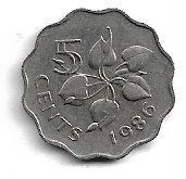Swaziland 5 cent. 1986, Ophalen of Verzenden, Overige landen