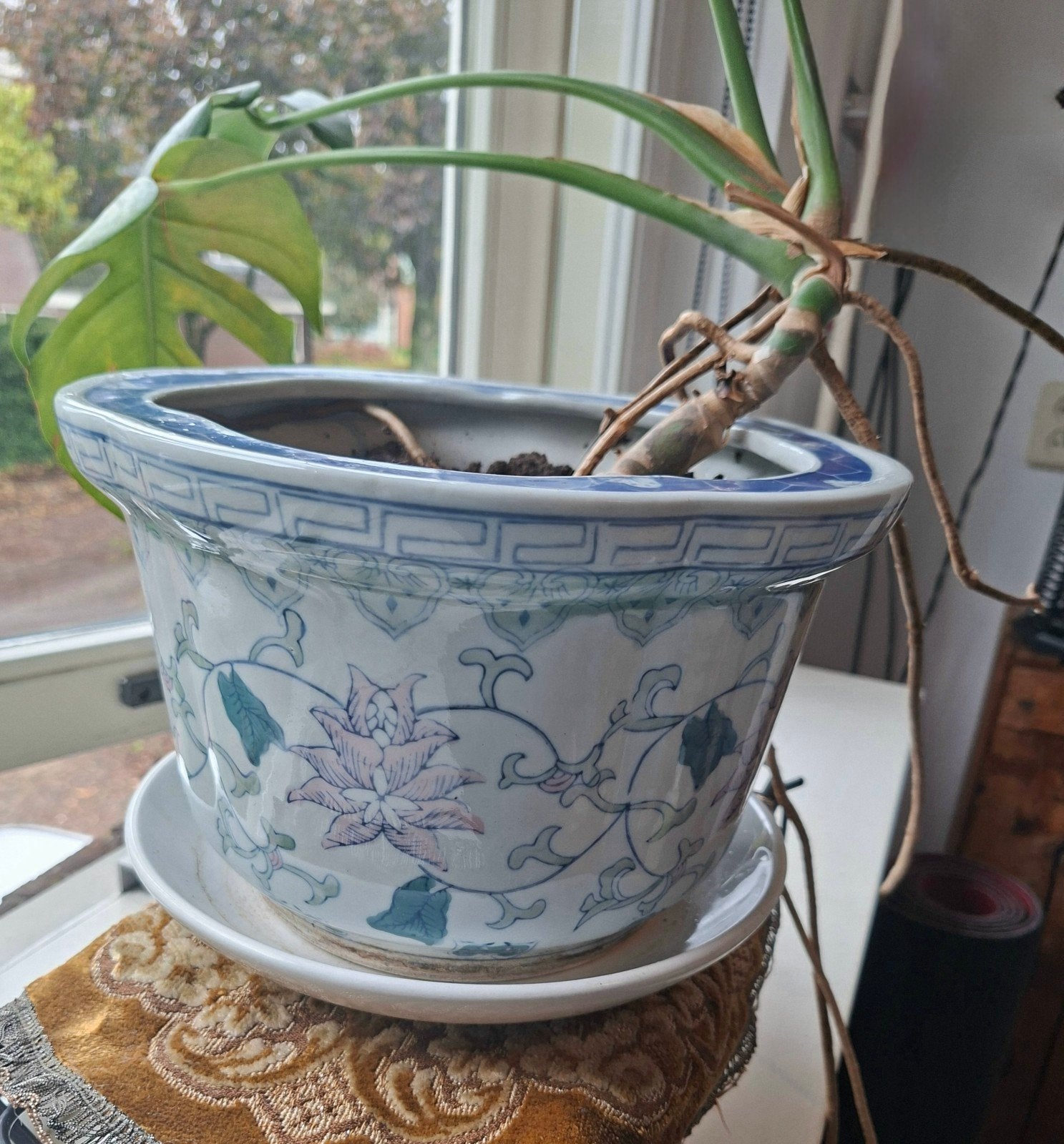 Vintage Chinese Bloempot met Monstera, Huis en Inrichting, Ophalen, Overige soorten, Halfschaduw, In pot