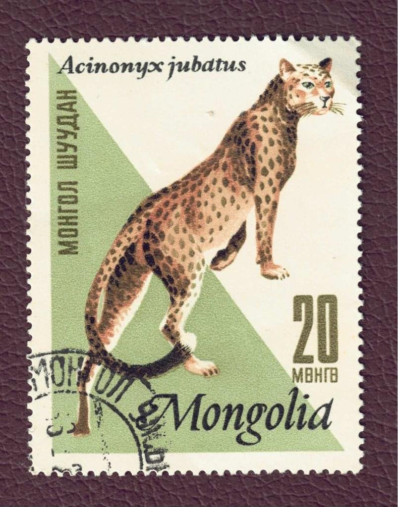 Fauna - Katachtigen - Mongolia - 415 - Panter - gebr, Ophalen of Verzenden, Gestempeld, Dier of Natuur