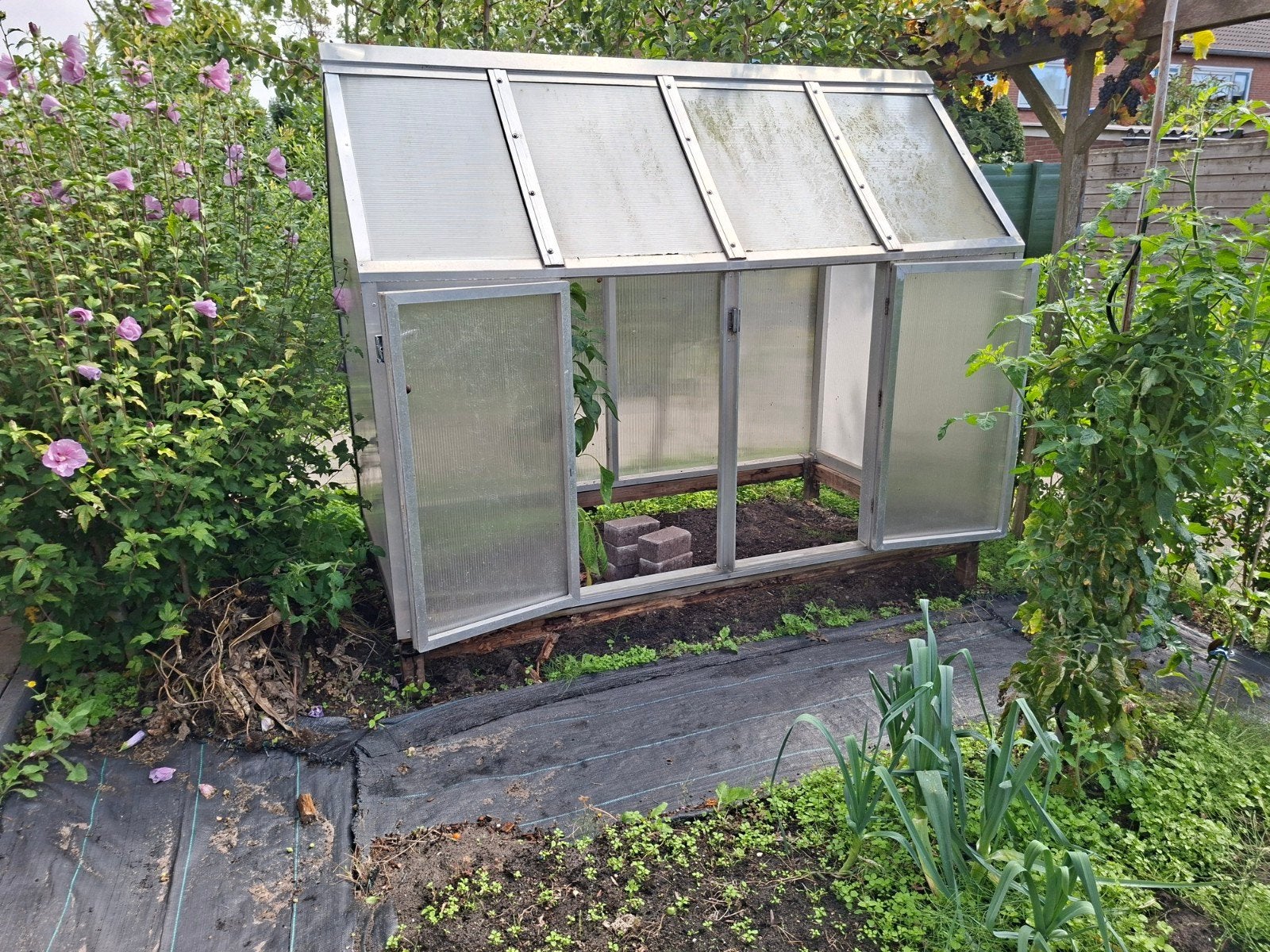 Kas, Ophalen, Kweekkas, Aluminium, Polycarbonaat