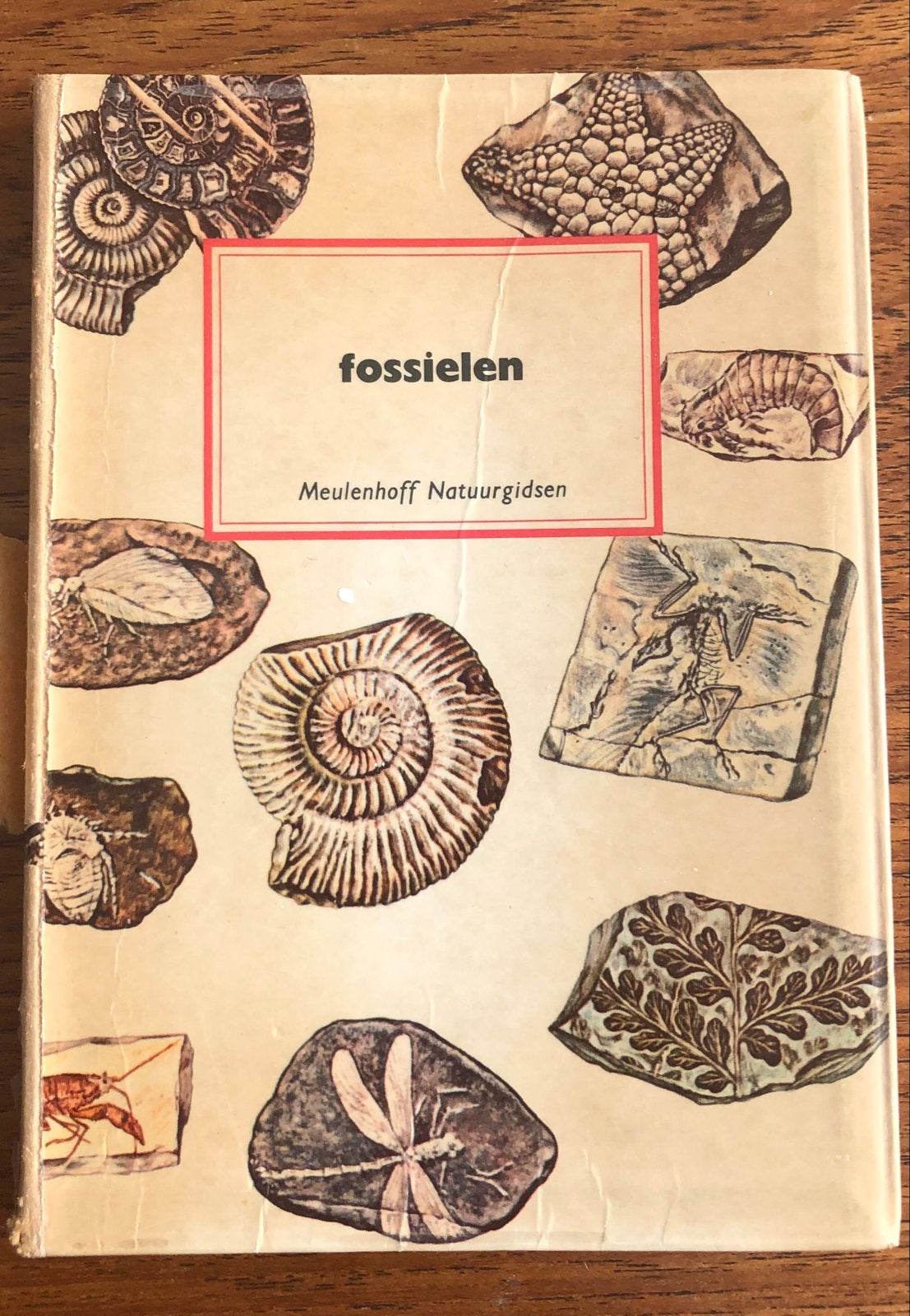 Boek Fossielen: Natuurgids voor het prehistorische leven, Verzamelen, Ophalen of Verzenden, Fossiel