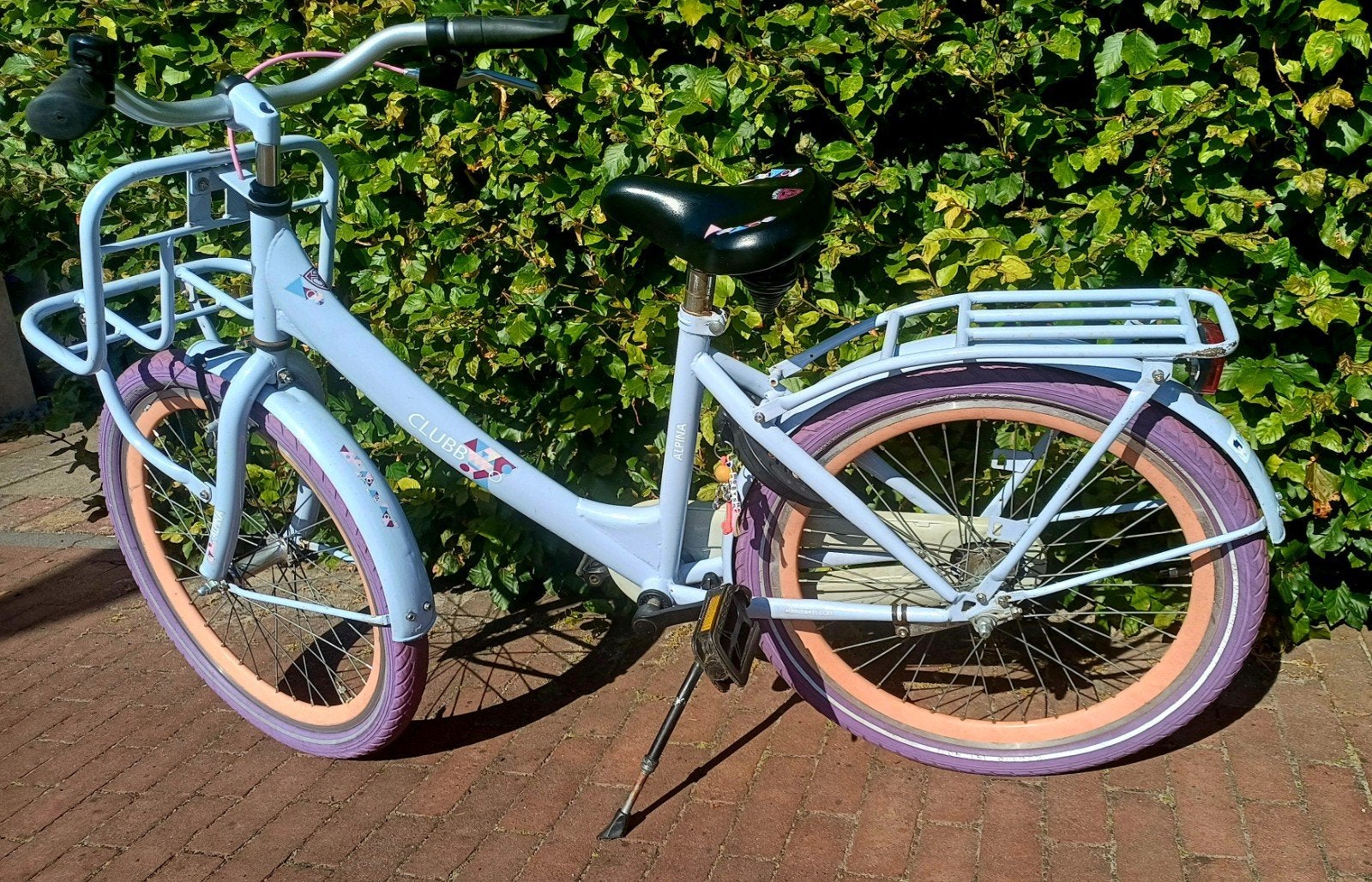 Alpina Clubb Meisjesfiets 22 inch, Ophalen, Terugtraprem, 22 inch, Alpina