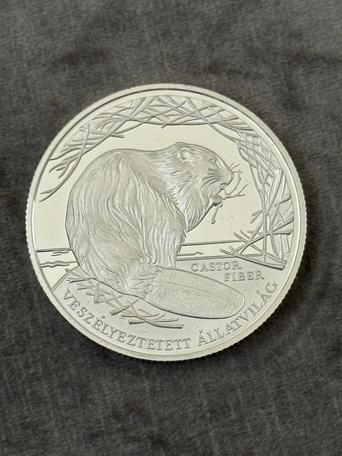 Hongaarse 3000 Forint Bever Munt 2000, Verzenden, Hongarije, Losse munt, Zilver