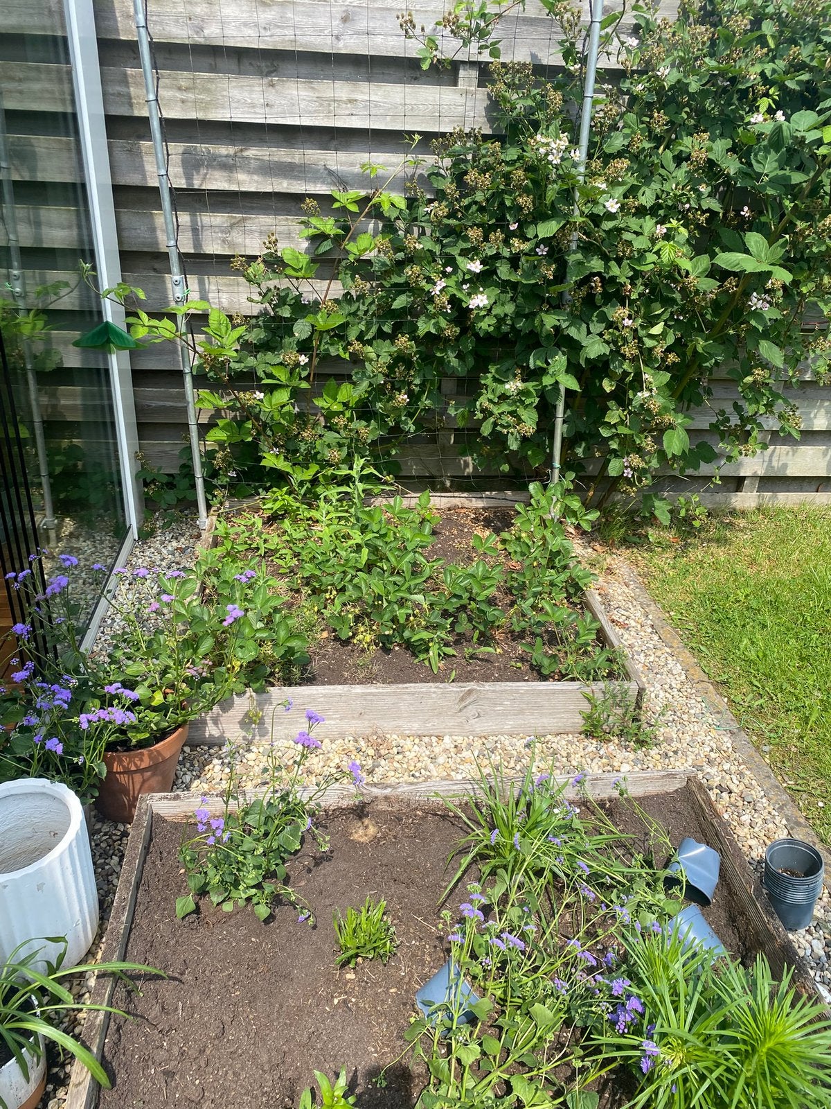 Makkelijke moestuin mix - genoeg voor 120 x120, Ophalen, Tuinaarde