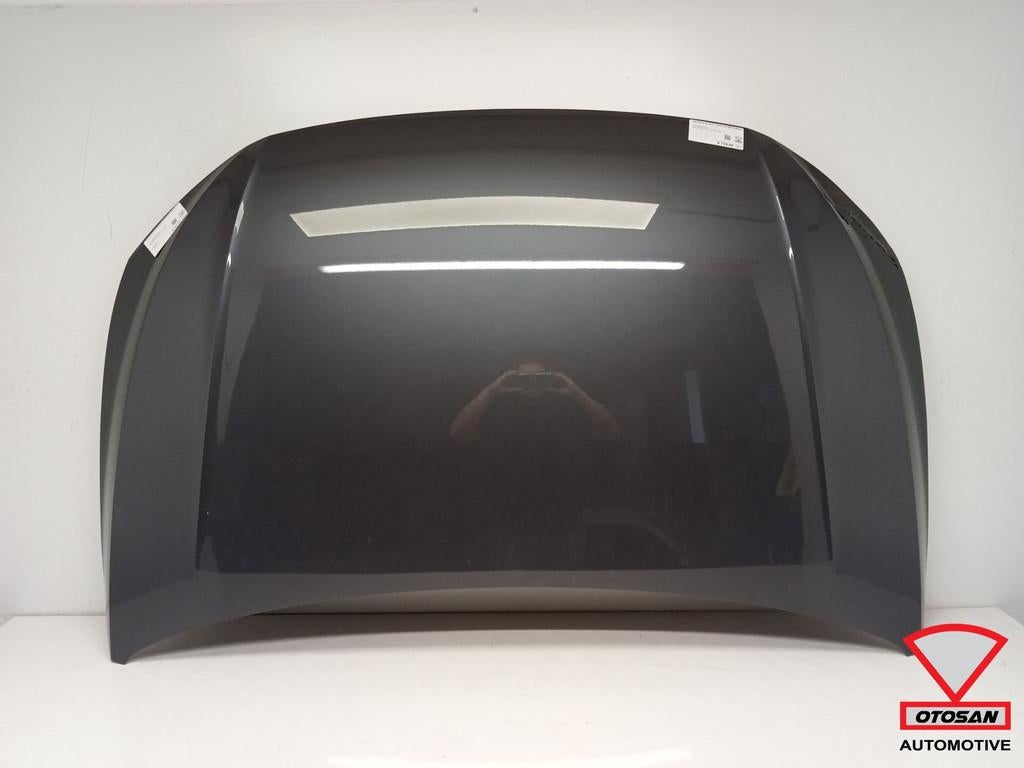 VW Polo 2G 2021+ Facelift Motorkap, Gebruikt, Volkswagen, Volkswagen AG, Motorkap