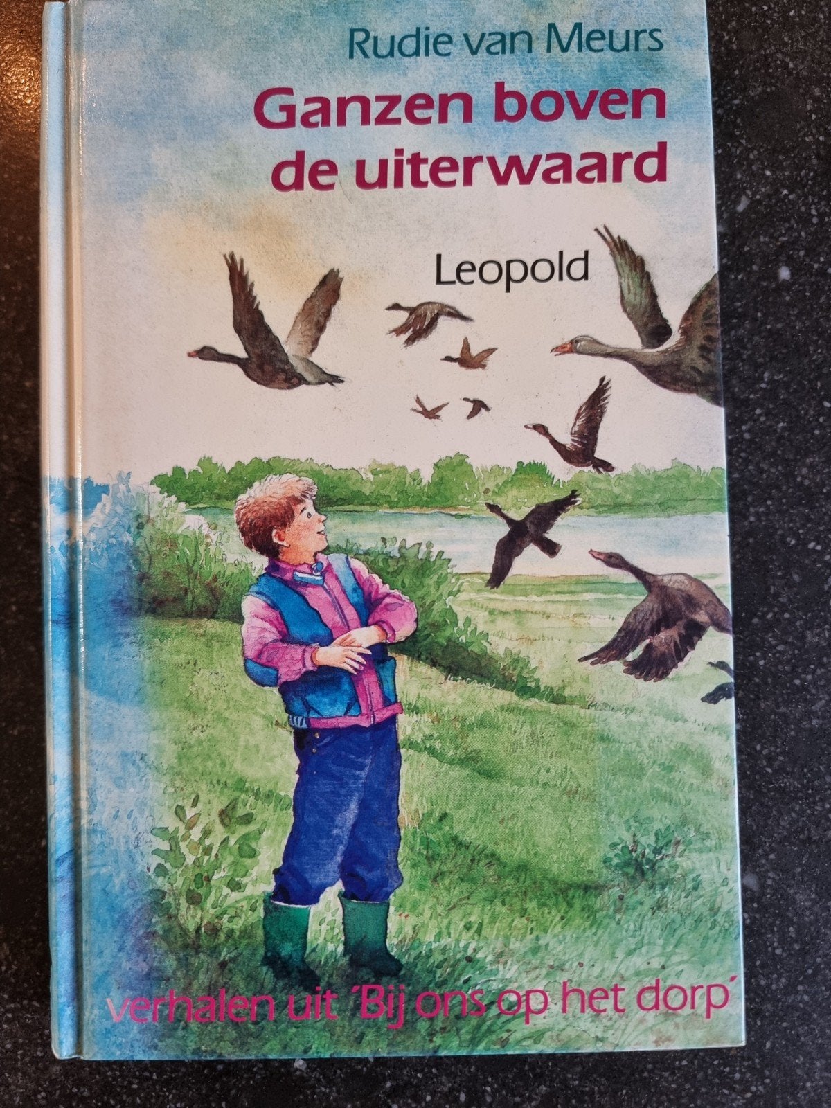 Ganzen boven de uiterwaard - Rudie van Meurs, Boeken, Kinderboeken | Jeugd | 10 tot 12 jaar, Ophalen of Verzenden