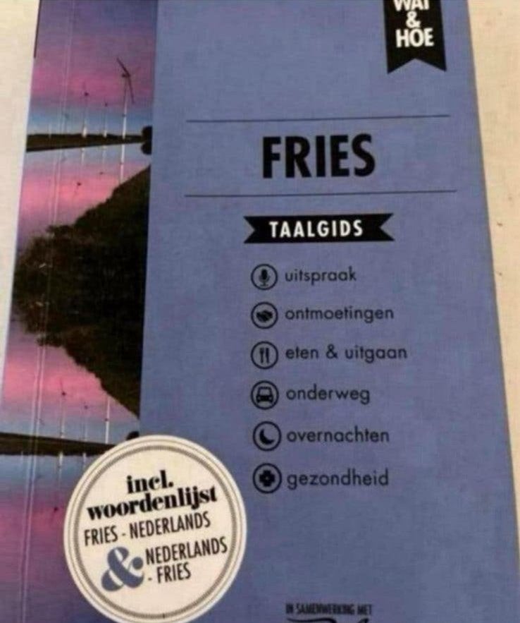 Wat & Hoe Taalgids Fries: Jouw tolk voor op reis, Ophalen of Verzenden, Gelezen, Taalgids