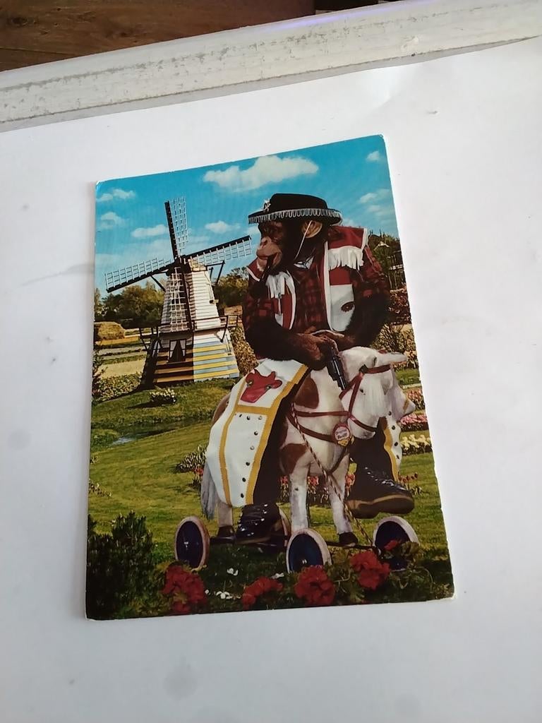AAP. OP  HOUTEN PAARD OP WIELEN. BIJ MOLEN, Ophalen of Verzenden, Overige thema's