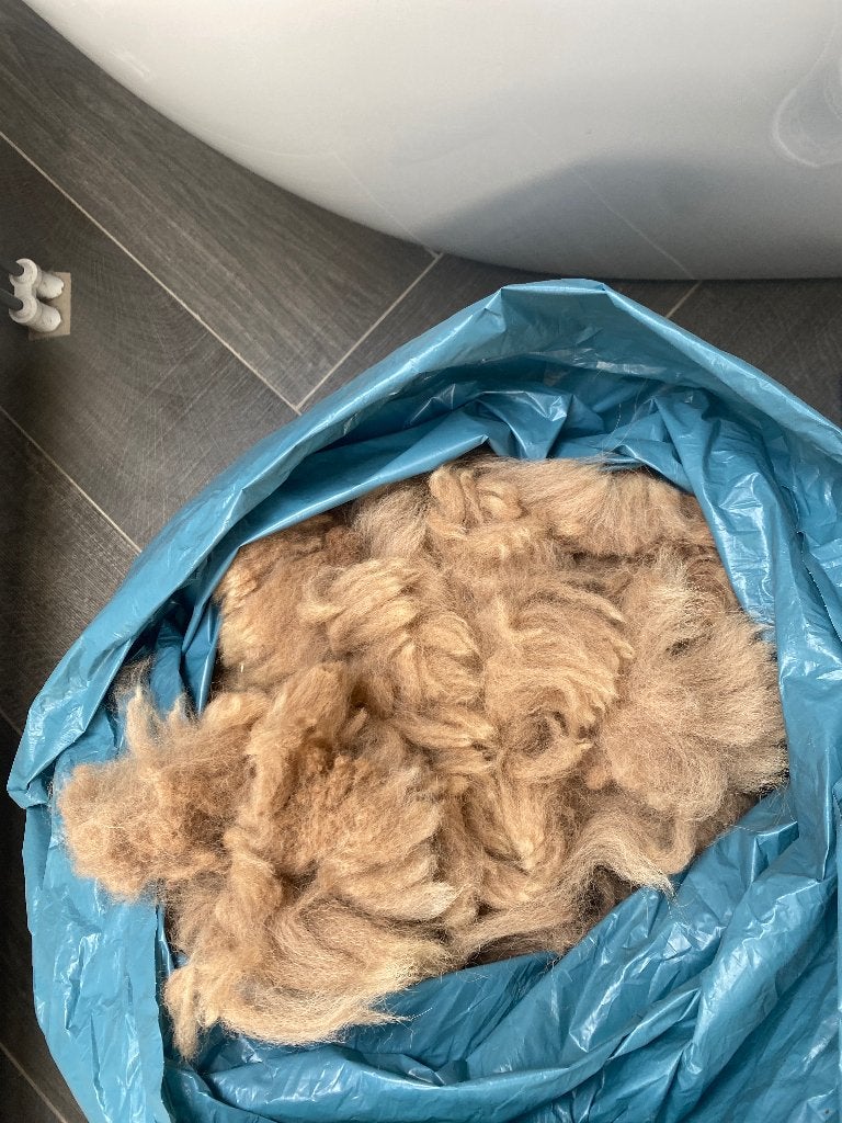 Alpaca wol van onze Tess, 2,2 kilo, de wol is van dit jaar, Hobby en Vrije tijd, Ophalen of Verzenden, Zo goed als nieuw, Spinwol