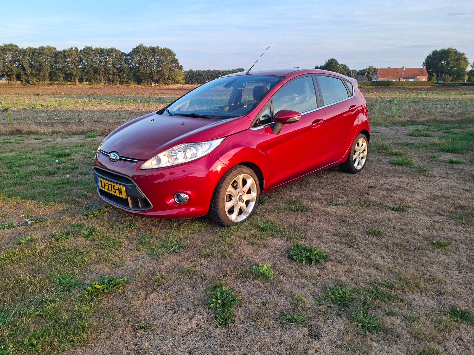Ford Fiësta 1.25 60KW 5DR 2012 Rood, Auto's, Ford, Voorwielaandrijving, 1242 cc, Handgeschakeld, 19 km/l