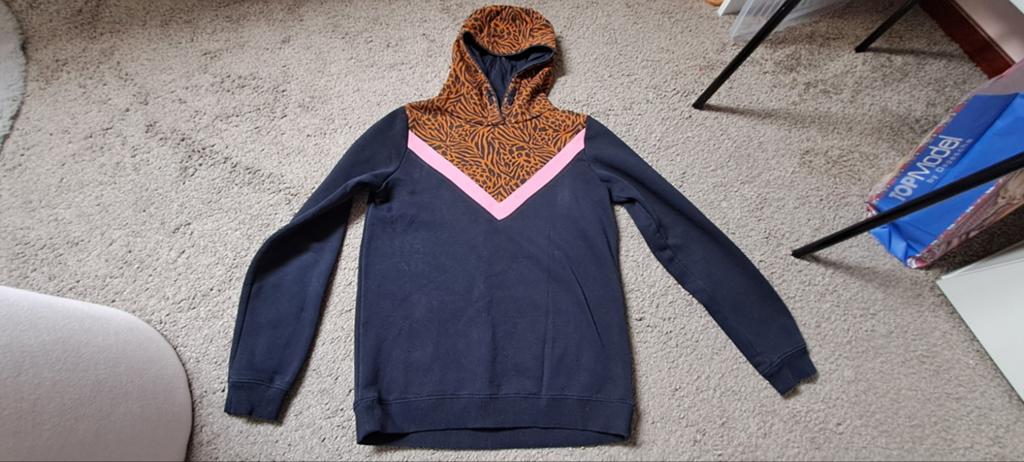 WE Hoodie Maat 158/164, Kinderen en Baby's, Kinderkleding | Maat 158, Gebruikt, Meisje, Trui of Vest, Ophalen of Verzenden
