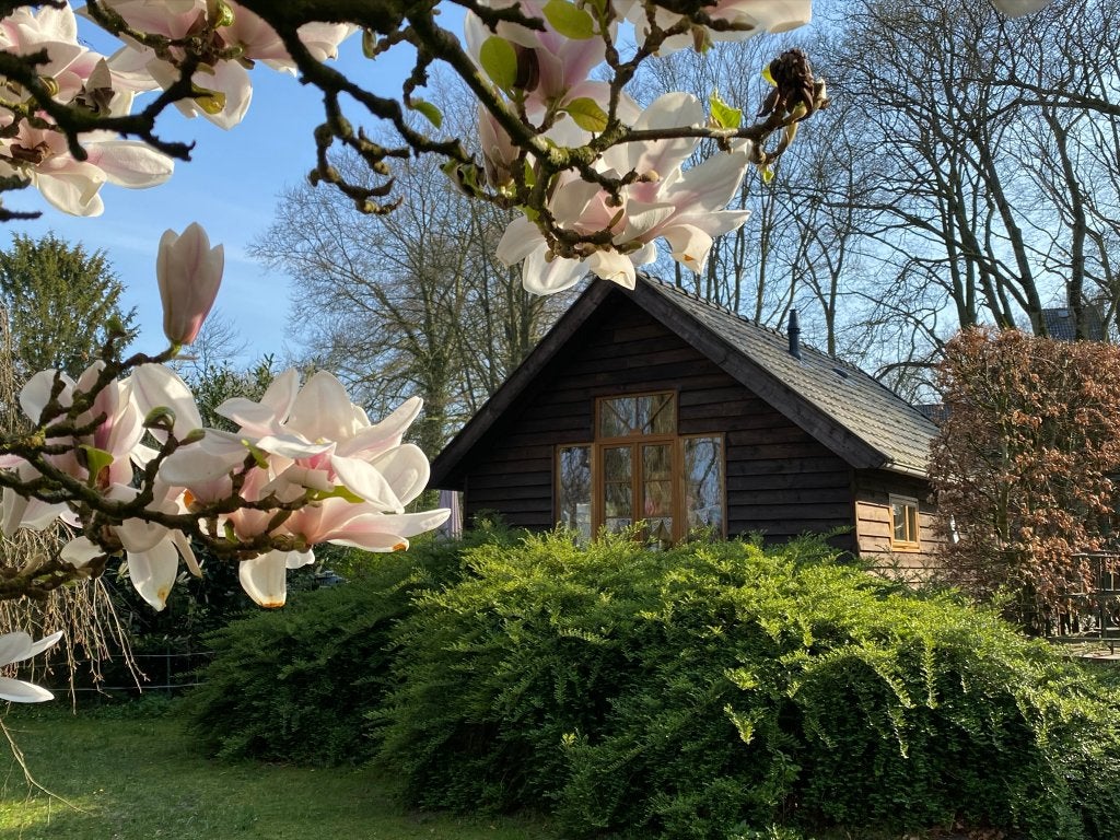 Recreatiewoning te huur -1 persoon, Direct bij eigenaar, Vrijstaande woning, 47 m², Friesland