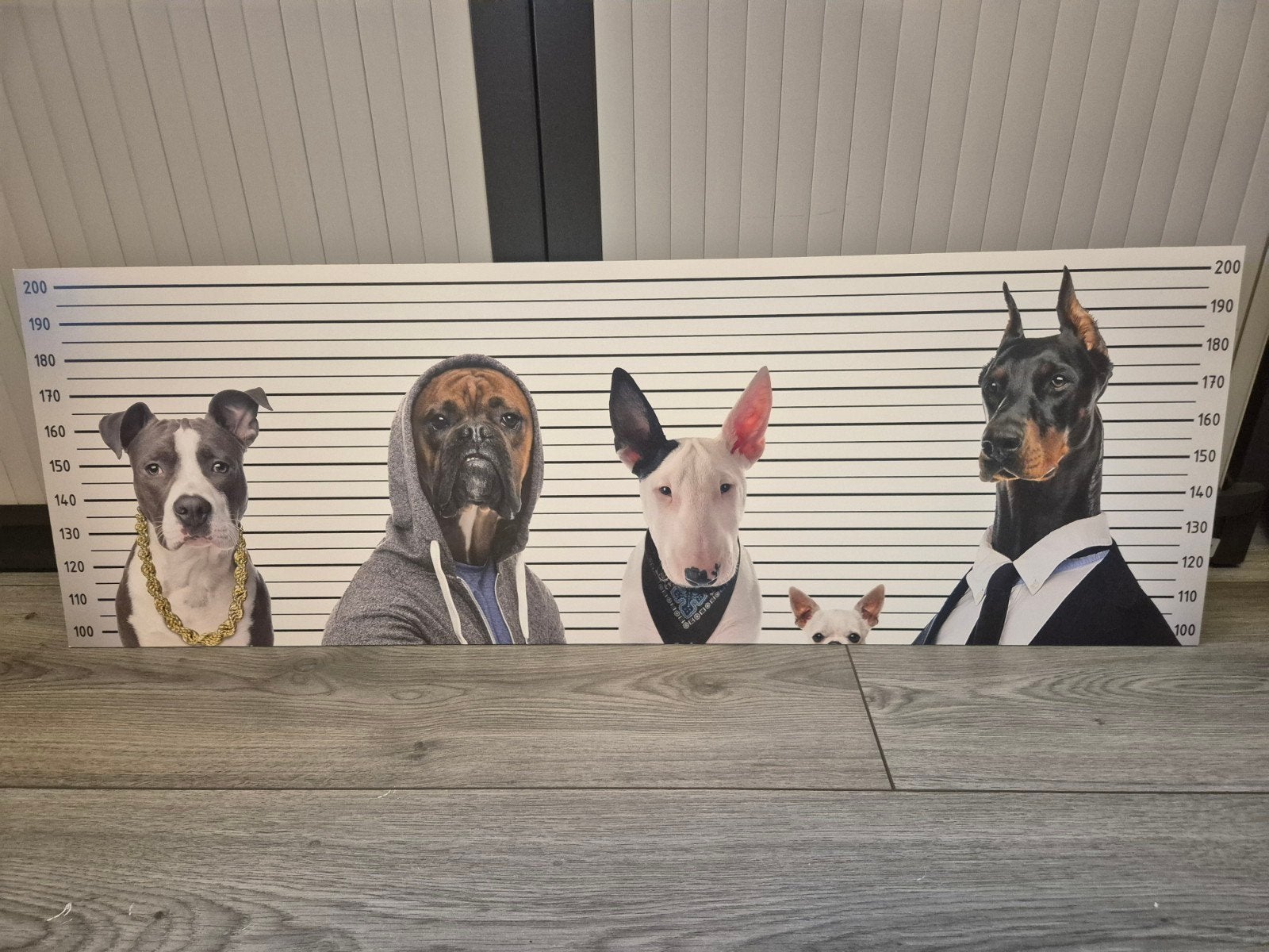 Grappige Honden Line-up Canvas Schilderij, Ophalen of Verzenden, Zo goed als nieuw, Schilderij, 100 tot 125 cm