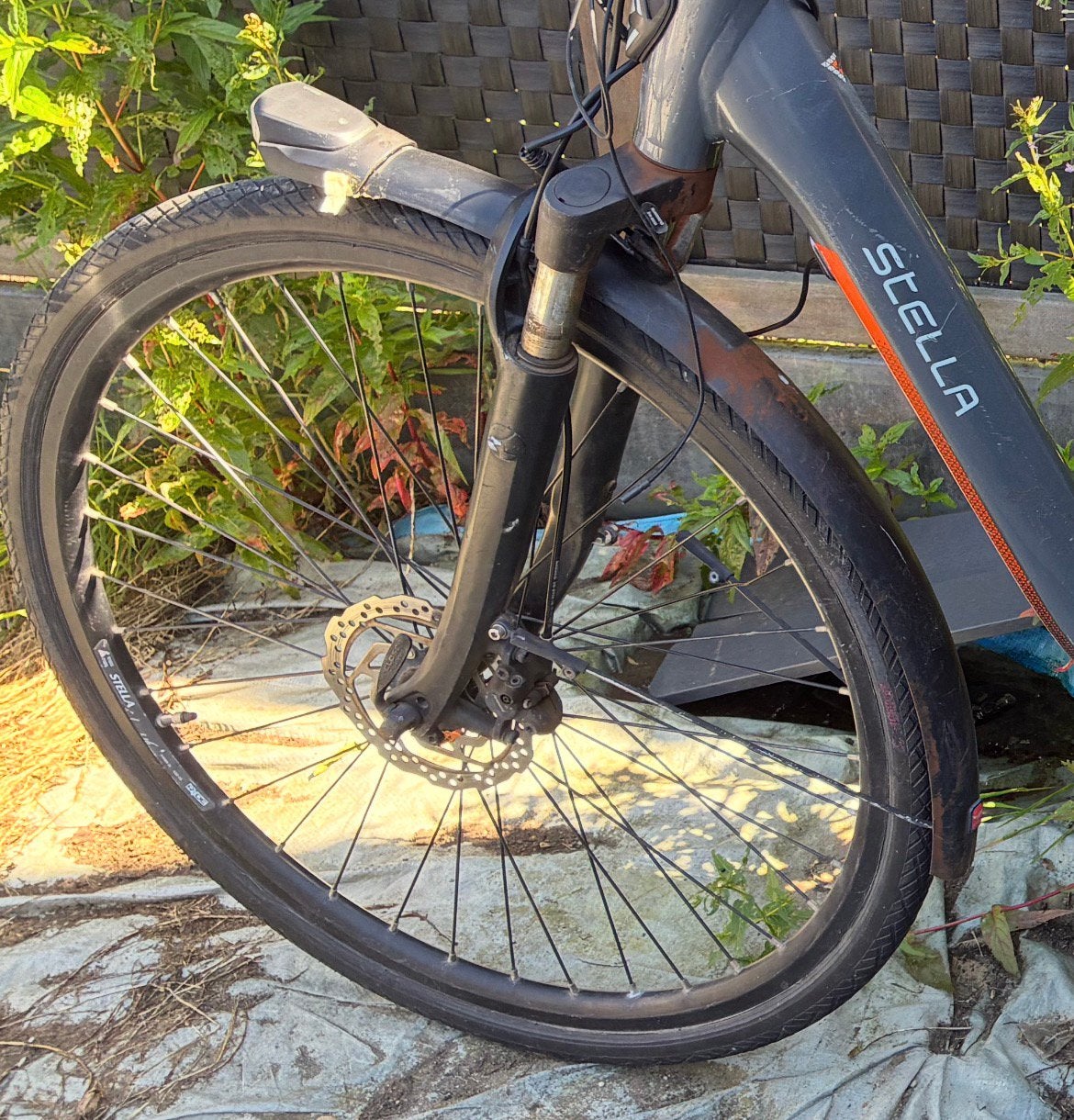 Stella 28 inch wielen wielset schijfrem, Fietsen en Brommers, Fietsonderdelen, Ophalen of Verzenden, Gebruikt