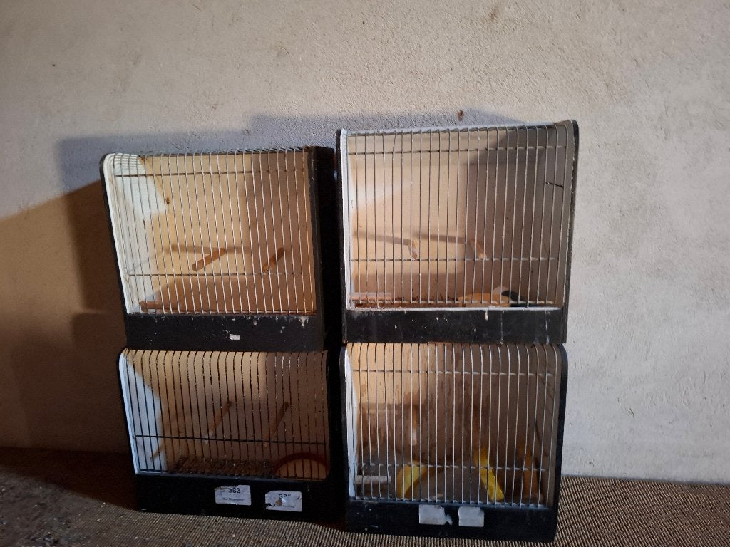 tentoonstelling kooitjes, Dieren en Toebehoren, Ophalen, Gebruikt, Hout, Vogelkooi
