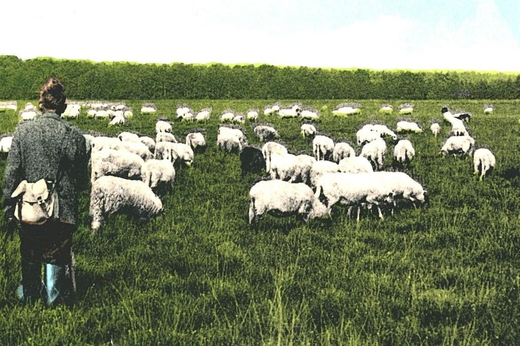 36250 Ruinen 1969 Drenthe Gelopen met postzegel, Ophalen of Verzenden, 1960 tot 1980, Gelopen, Drenthe