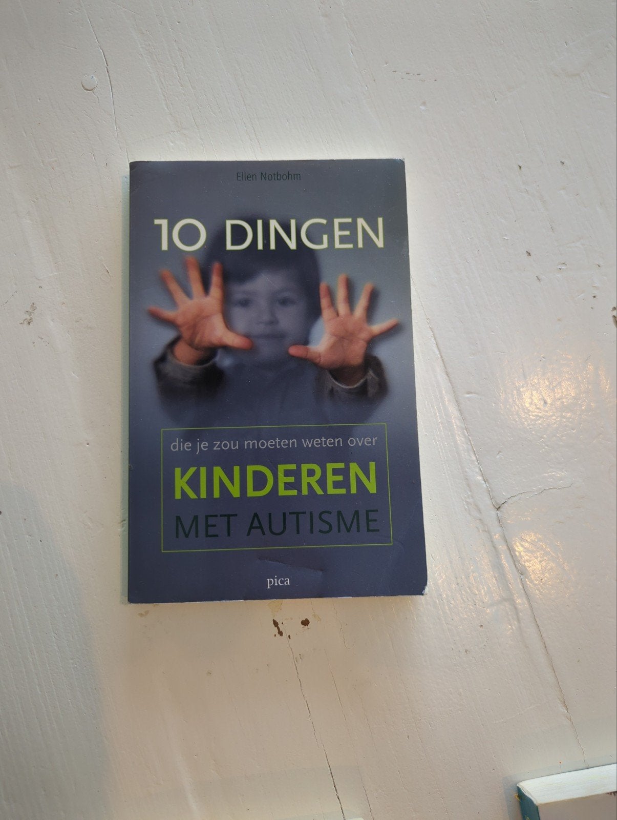 10 Dingen die je moet weten over kinderen met autisme, Ophalen of Verzenden, Zo goed als nieuw, Ellen Notbohm