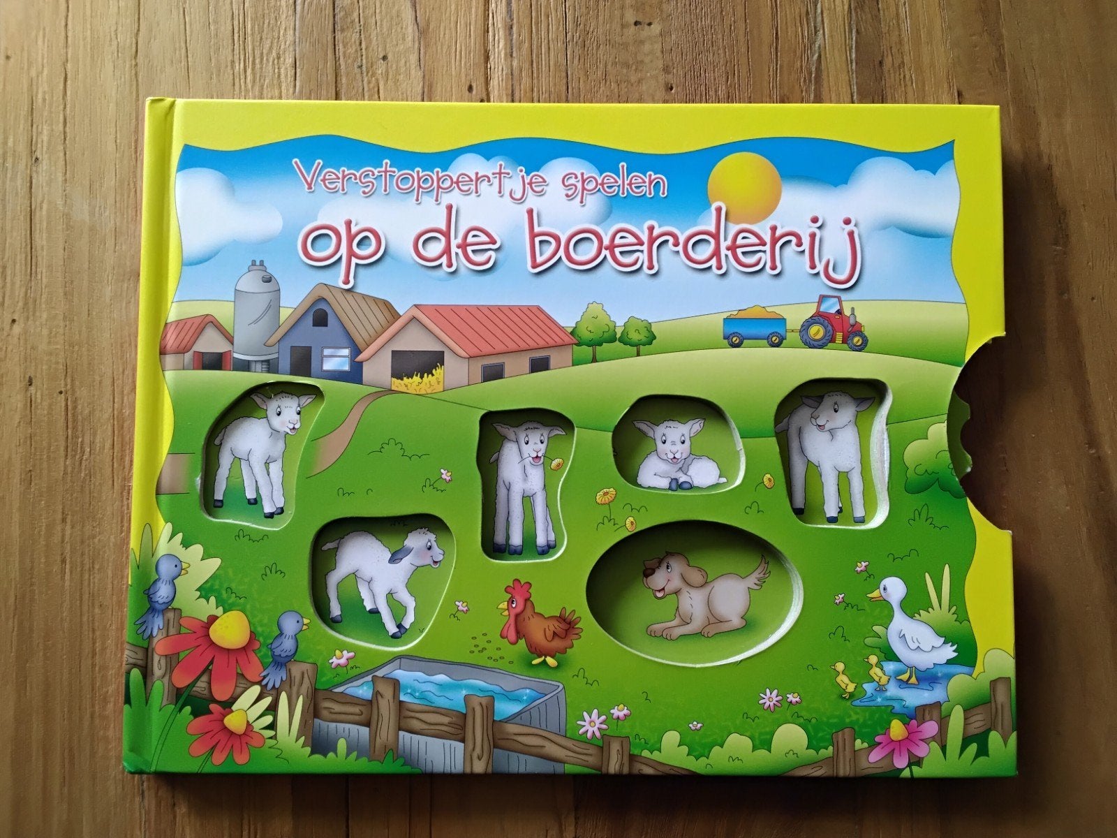 Verstoppertje spelen op de boerderij - Zoekboek, Graham Wise, Ophalen of Verzenden, Zo goed als nieuw, 2 tot 3 jaar