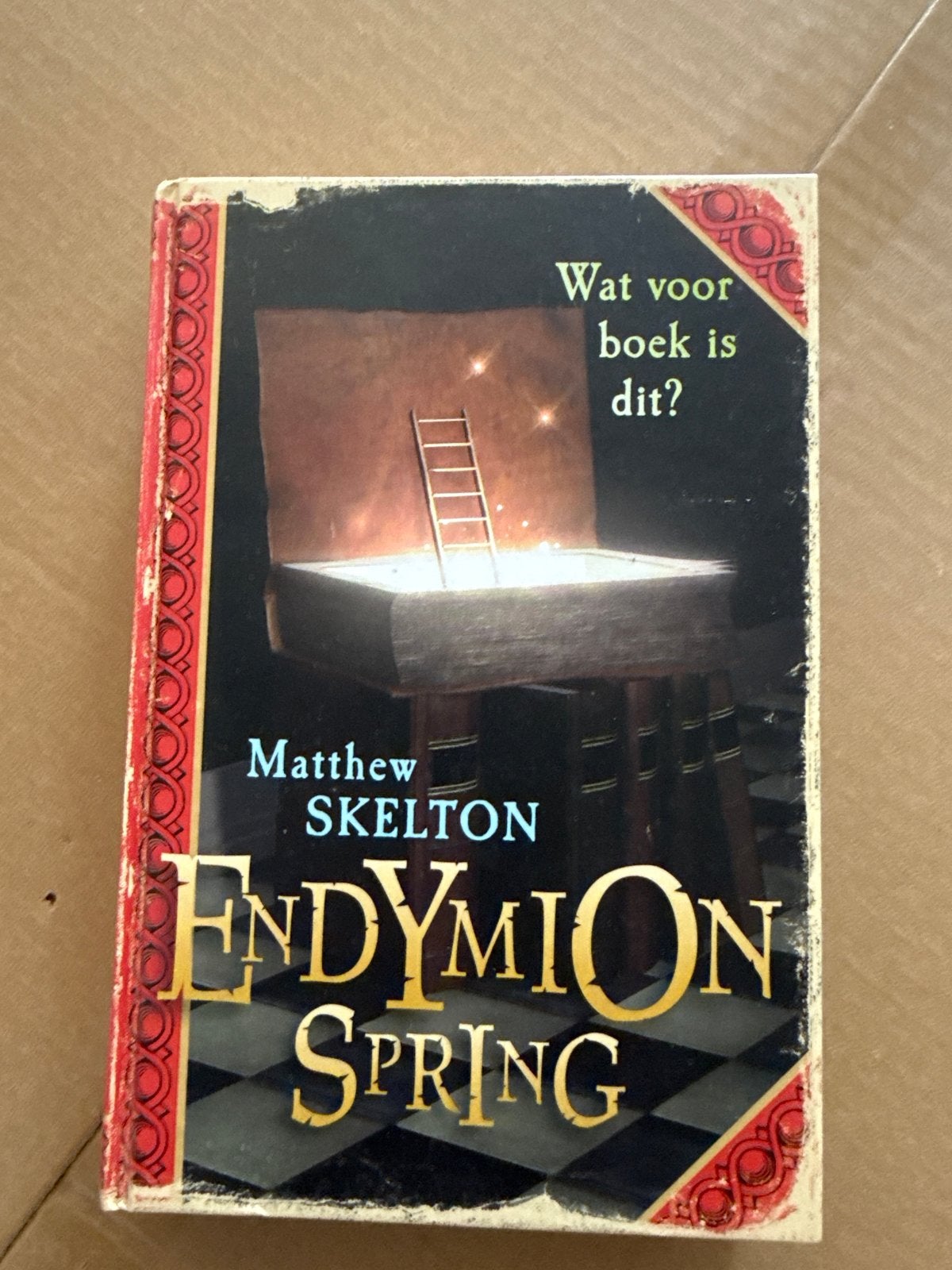 Endymion Spring - Matthew Skelton (Nederlands), Boeken, Ophalen of Verzenden, Nieuw, Europa overig
