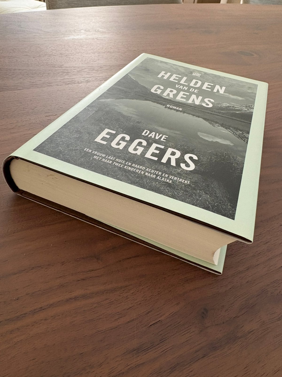 Te koop roman ‘Helden van de grens’, Ophalen of Verzenden, Zo goed als nieuw