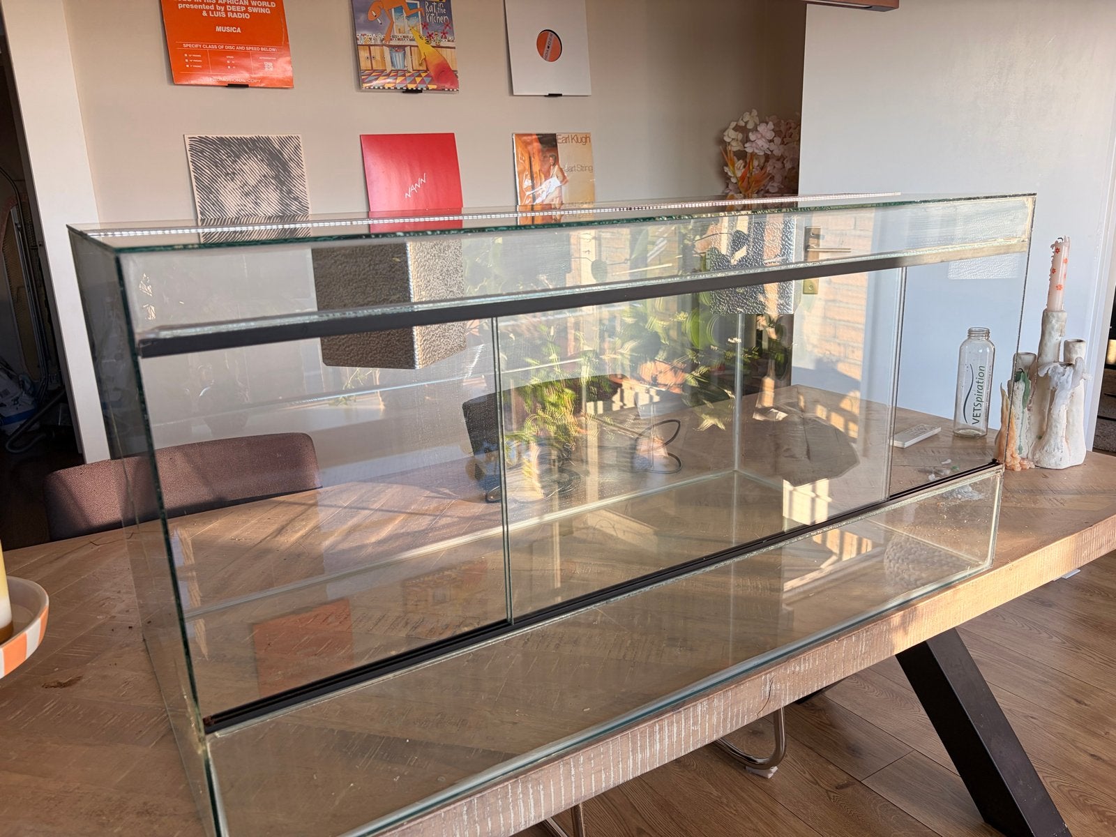 Glazen terrarium 100x50x50, Ophalen, Gebruikt, Terrarium of Paludarium