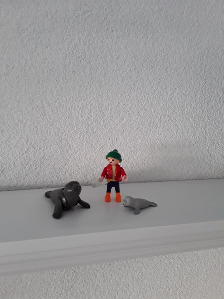 Playmobil Special plus 4660 Jongen met zeeleeuwen z.g.a.n., Ophalen of Verzenden, Zo goed als nieuw