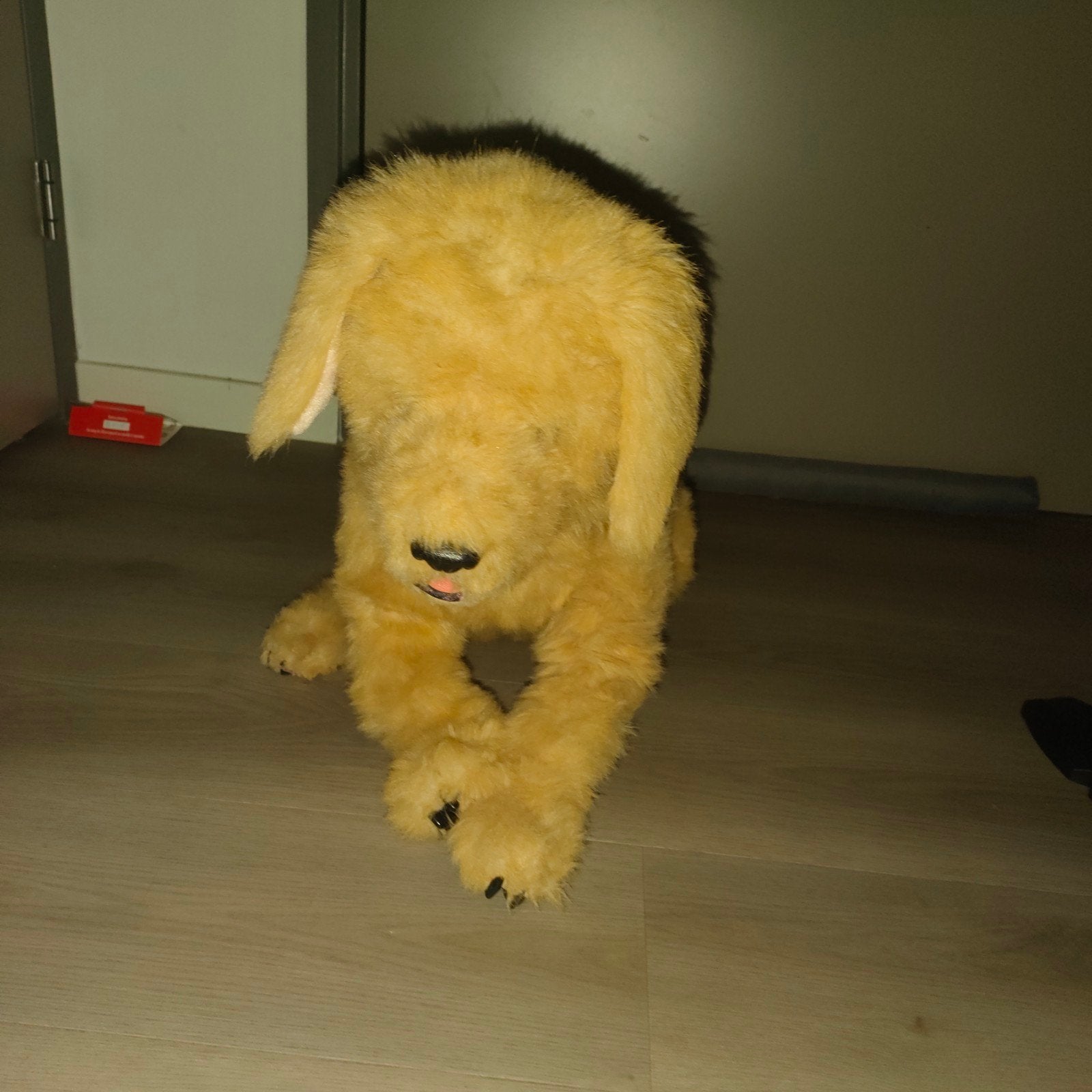 Real Friends biscuit, Ophalen, Gebruikt, Hond, Interactief