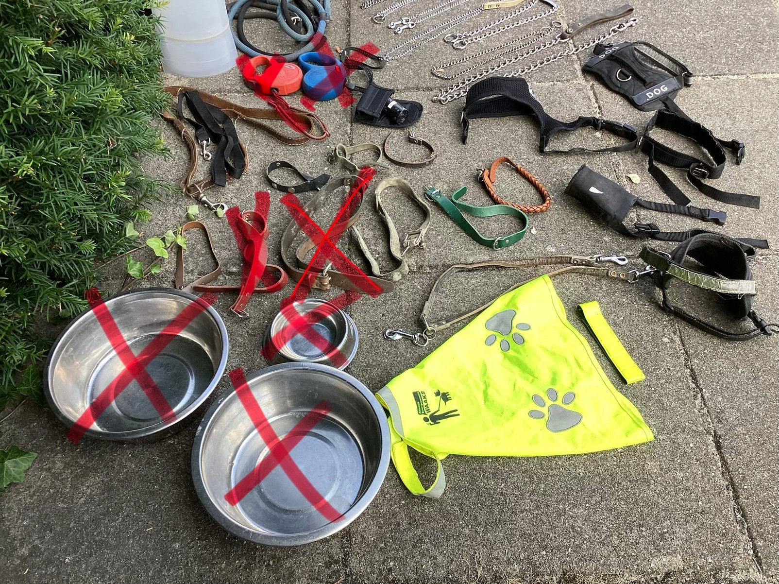 Riempjes/kettingen/kraag/tuigjes/manden voor hond of kat, Ophalen of Verzenden, Gebruikt