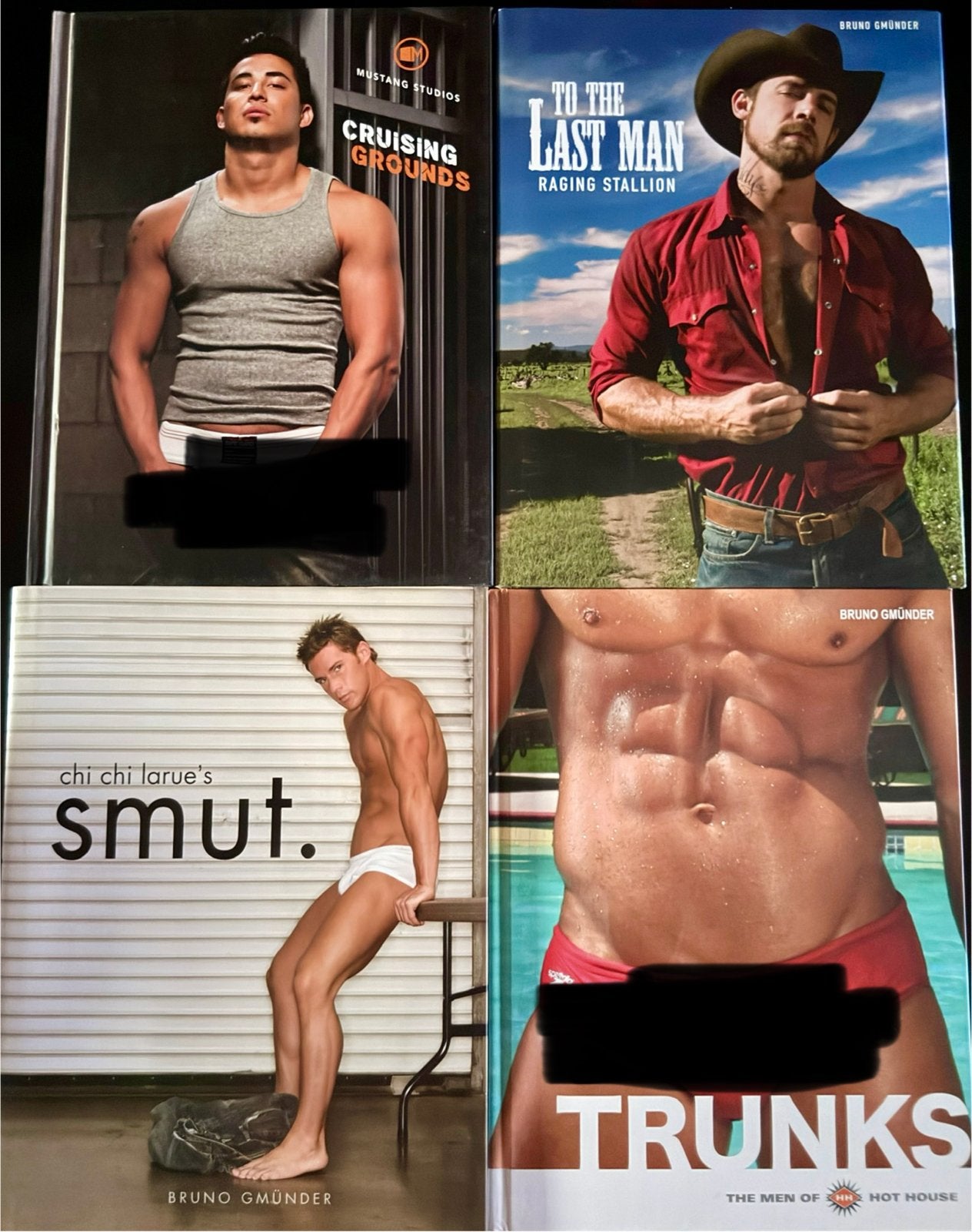 Bruno Gmünder collectie mannelijke erotiek, o.a. Hot House, Ophalen of Verzenden, Zo goed als nieuw, Overige onderwerpen