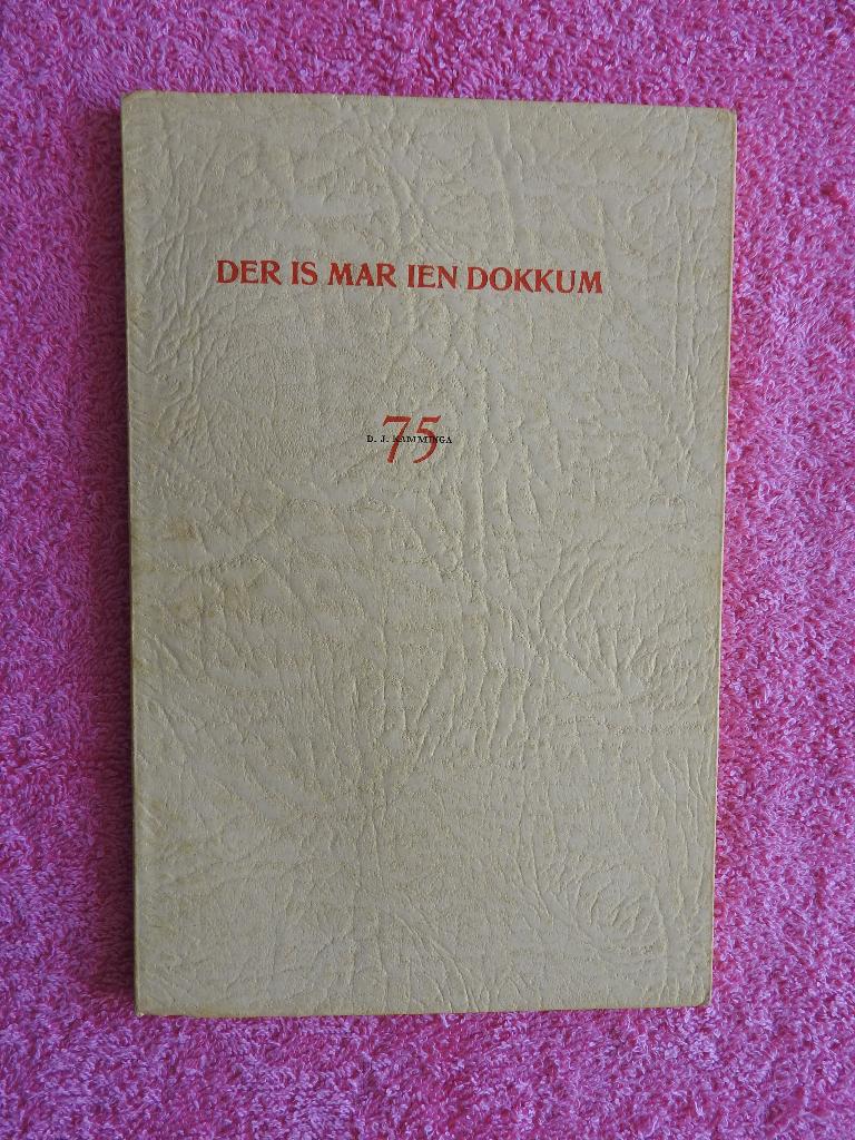 Der is mar ien Dokkum, ta de 75e jierdei fan D.J. Kamminga, Ophalen of Verzenden, Zo goed als nieuw