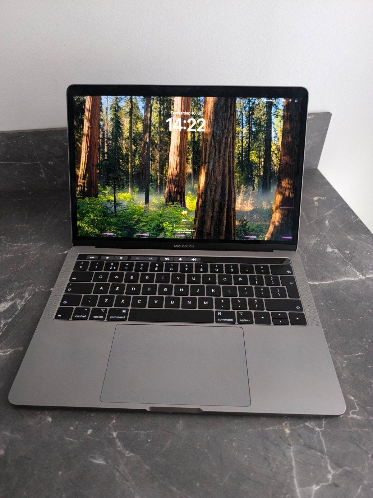 Apple MacBook Pro 2019 (model A2159), Ophalen of Verzenden