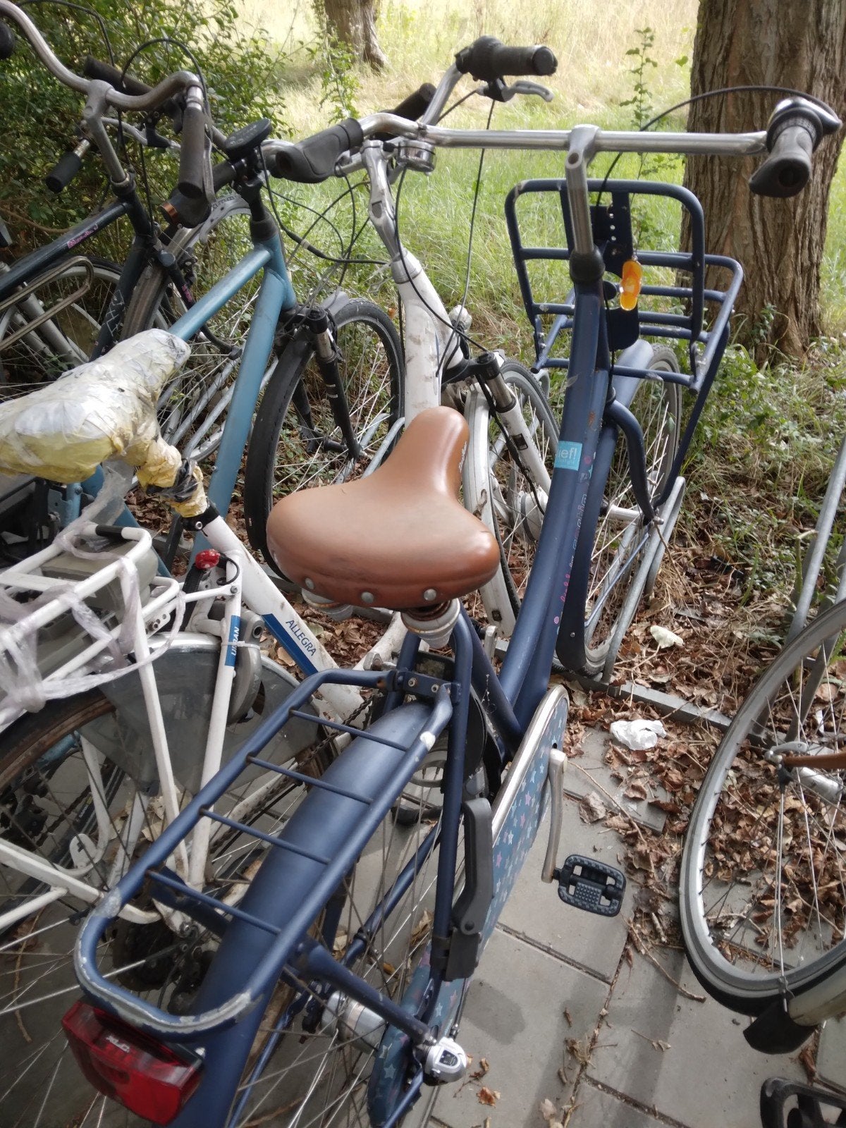 Fiets Lief! Donkerblauw, Fietsen en Brommers, Terugtraprem, Versnellingen, Zo goed als nieuw, Ophalen