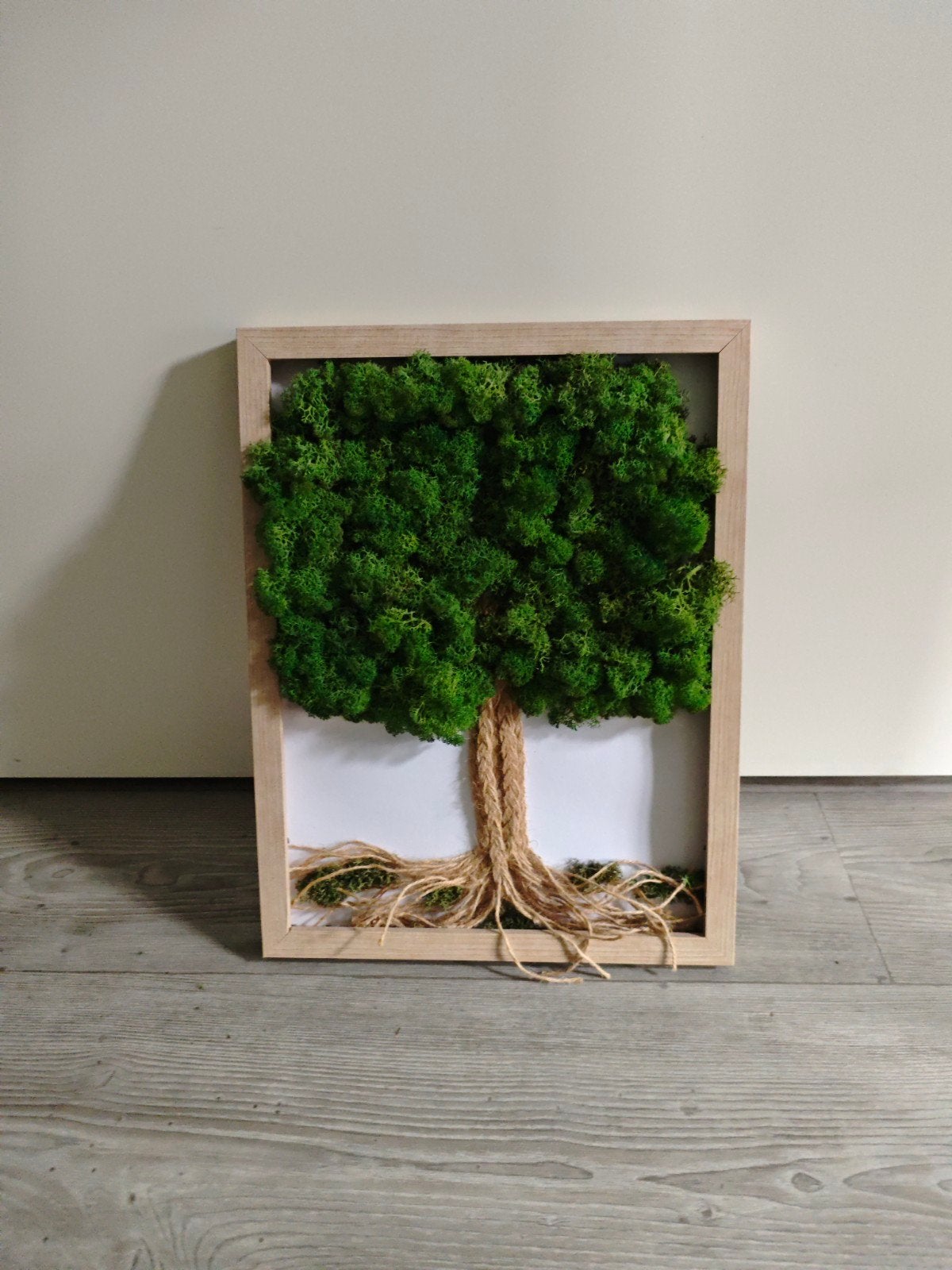 Mosschilderij 34cm x 21cm, Groen, Hout, Ophalen of Verzenden, Ingelijst