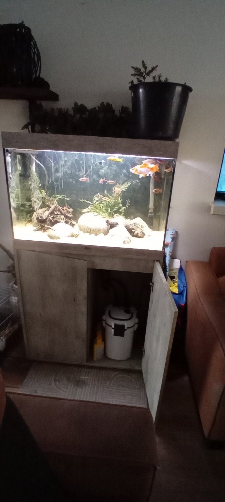 Complete aquarium te koop, Ophalen of Verzenden, Zo goed als nieuw, Gevuld zoetwateraquarium