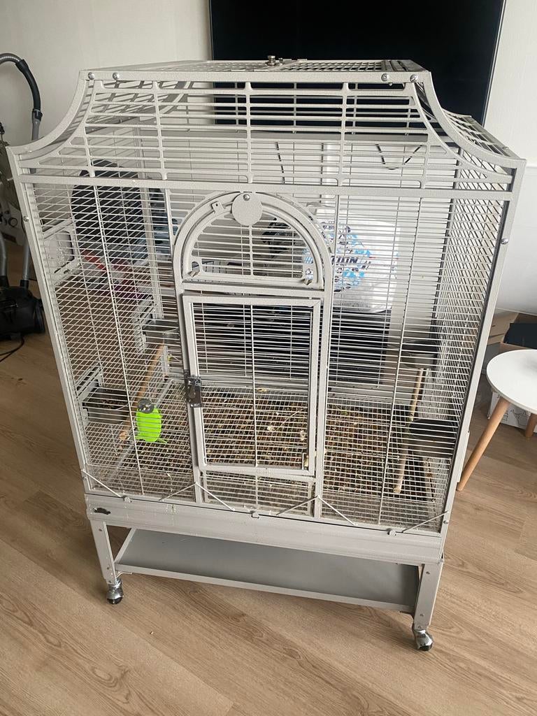 Grijze montana vogel en papegaai kooi, Ophalen, Zo goed als nieuw, Metaal, Vogelkooi