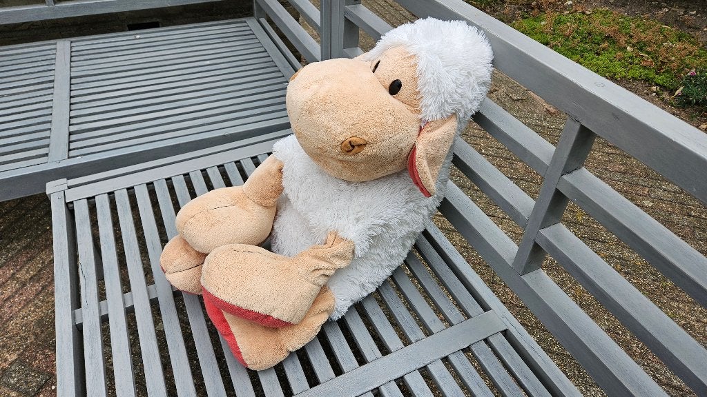 schaap grote knuffel, Gebruikt, Overige typen, Ophalen of Verzenden, Middelgroot (20 tot 80 cm)