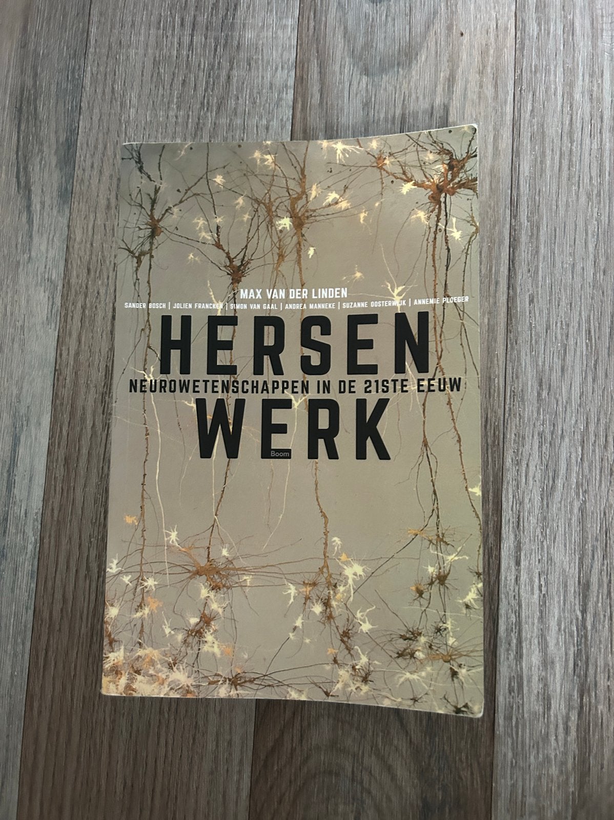 Hersenwerk: Neurowetenschappen in de 21e eeuw, Ophalen of Verzenden, Zo goed als nieuw