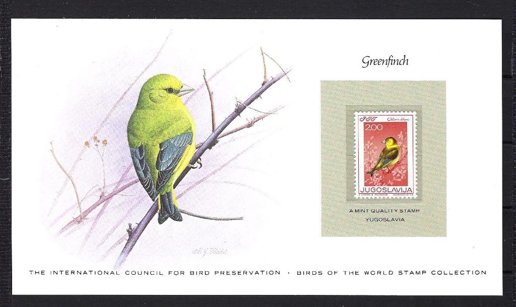VOGELS kaart Yugoslavia Greenfinch (zegel XX), Ophalen of Verzenden, Postfris, Dier of Natuur