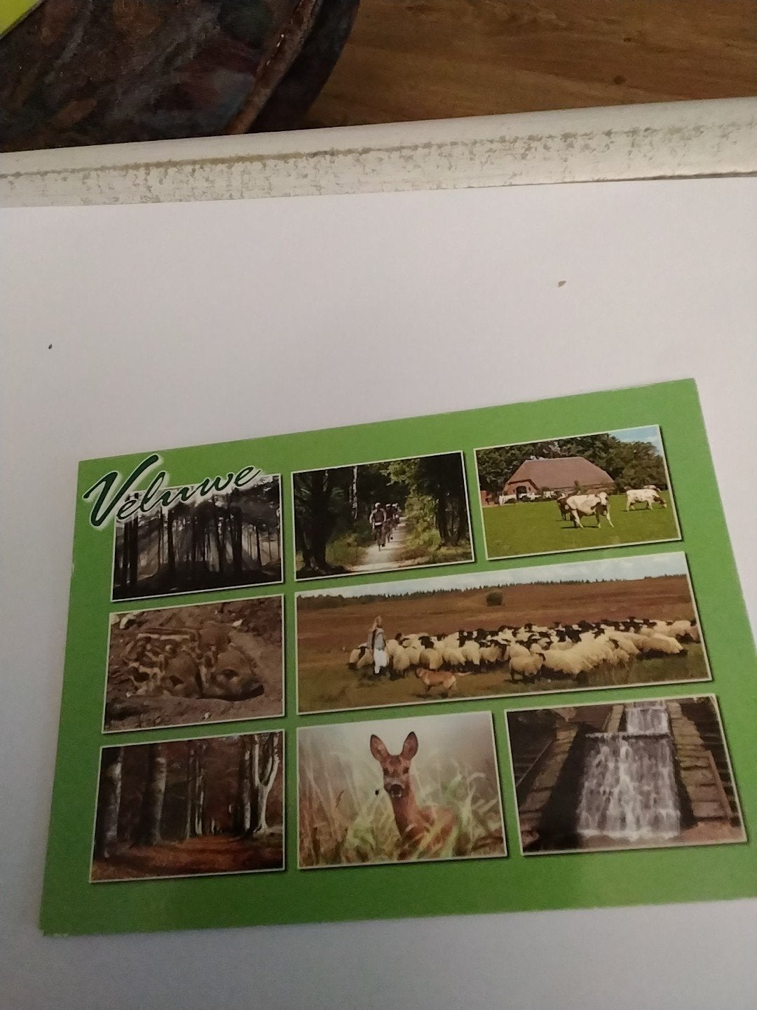 Ansichtkaart Veluwe - Gelopen, Ophalen of Verzenden