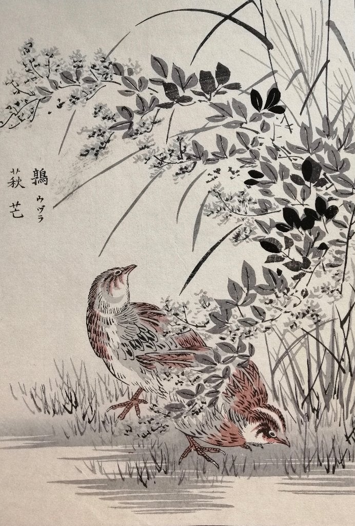 Japanse houtsnede van Kono Bairei - Groot -Vogel no. 1, Antiek en Kunst, 1800 - 1899, Ophalen of Verzenden, Flora en Fauna, Houtsnede