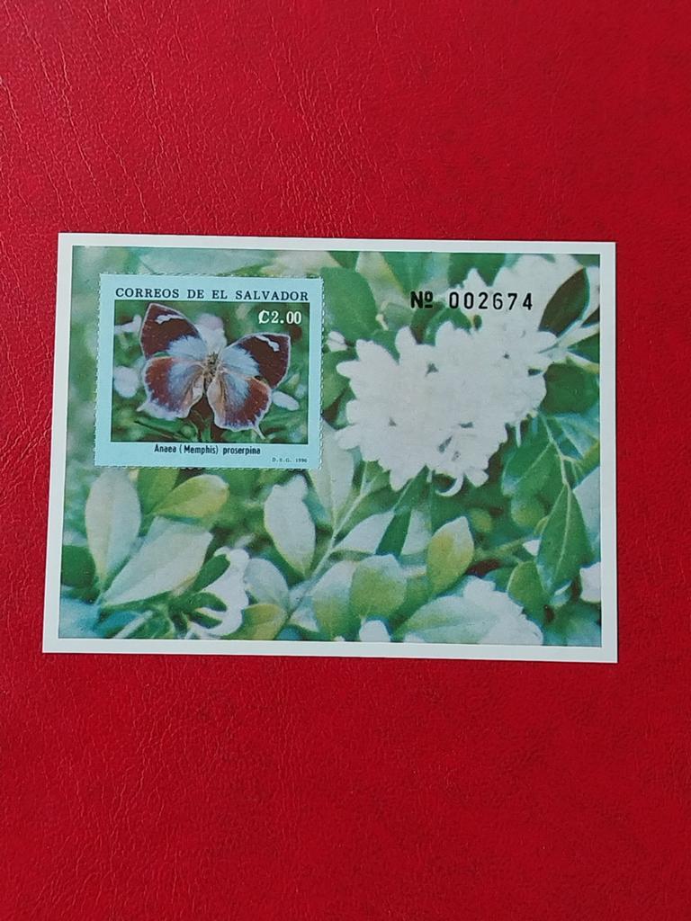 El Salvador blok 46 vlinders 1990 postfris mi 12eu, Ophalen of Verzenden, Rest van de wereld