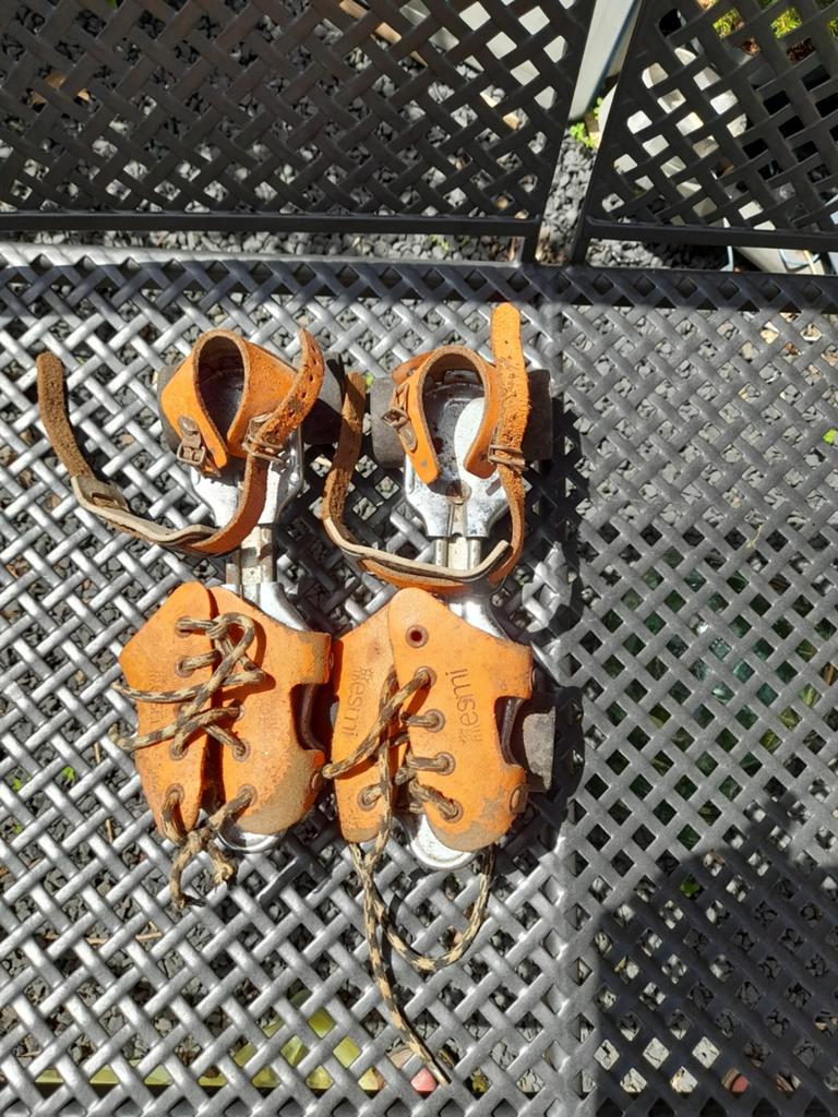 Rolschaatsen Skates Verstelbaar, Ophalen of Verzenden, Verstelbaar, Gebruikt, Kinderen