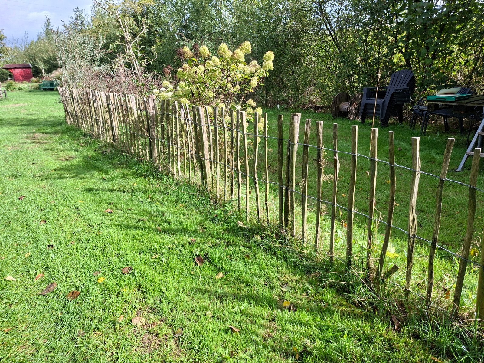 Engels hekwerk kastanjehout 2 x 10 m, 85-90 hoog, Ophalen, Gebruikt, Hout