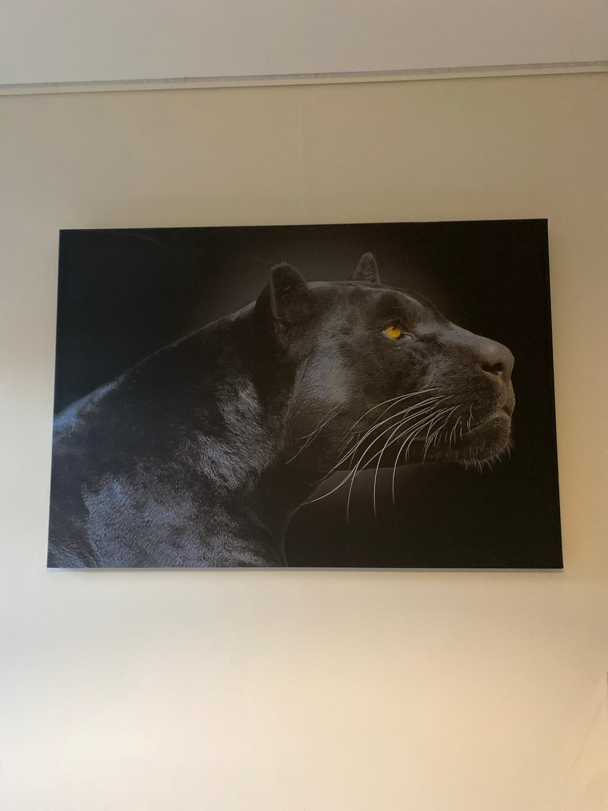 Prachtige print van zwarte panter met gele ogen, Ophalen of Verzenden, 75 tot 100 cm, Print