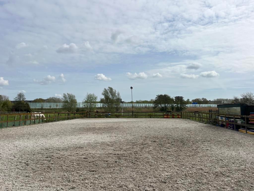Stalling voor paard of pony, Dieren en Toebehoren, Weidegang