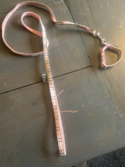 d18 – set van roze geruite looplijn met halsbandje 17-21cm, Ophalen, Gebruikt