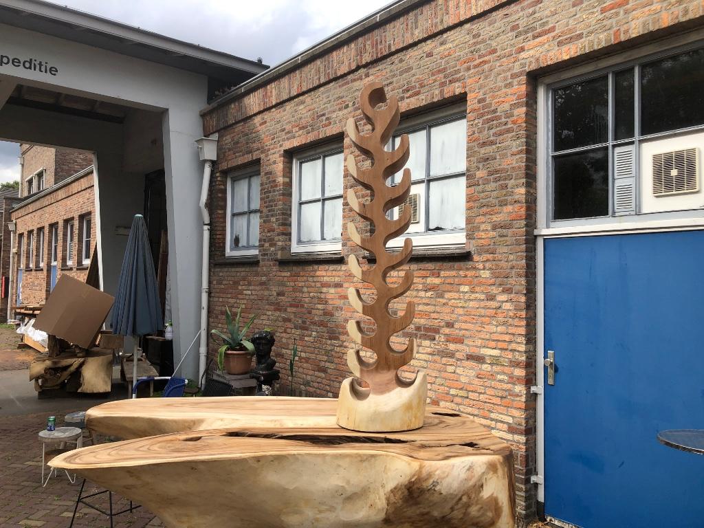 Wijnrek suar teak xxl ook boomstamtafels