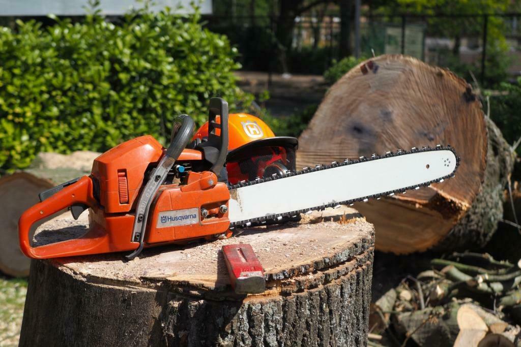 Boom kappen rooien bomen stronken frezen omzagen snoeien, Garantie, Tuinontwerp