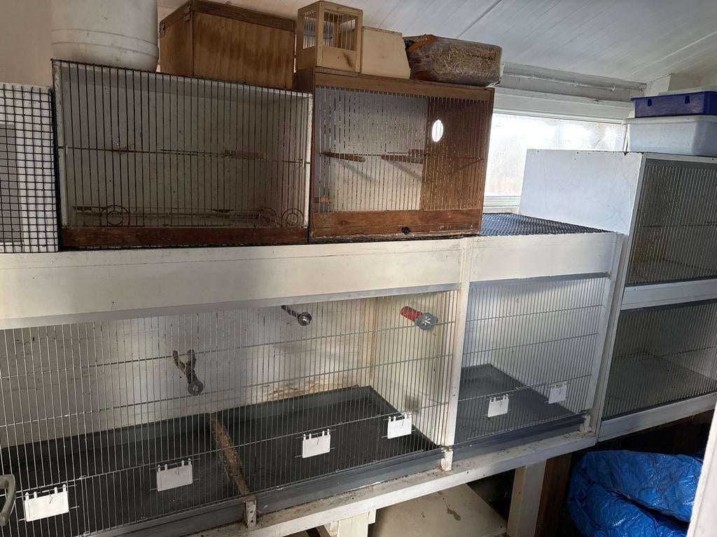 Voeliere hokken, Ophalen, Gebruikt, Hout, Vogelkooi